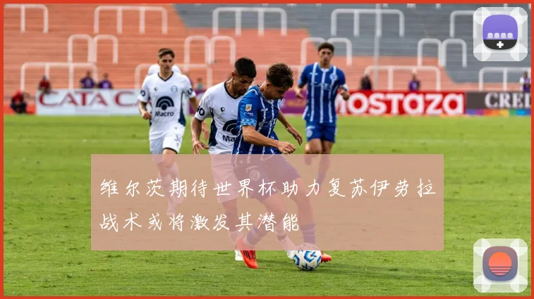 维尔茨期待世界杯助力复苏伊劳拉战术或将激发其潜能